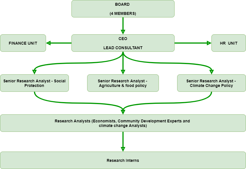 BriCs Insights Consulting | Inspiring Progress Through Research